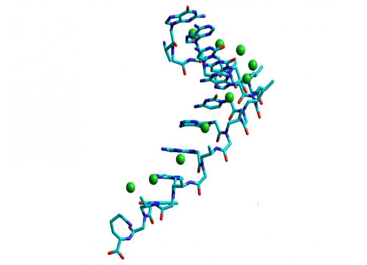 Image for exosome services with ID of: 4430676