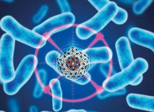 Image for exosome size with ID of: 4430682