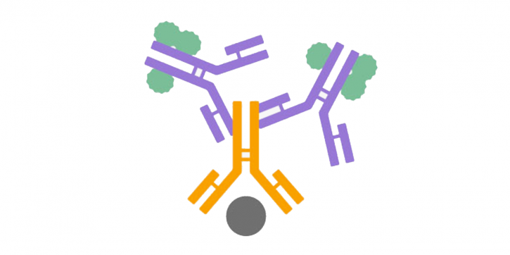 Image for genetic diseases that can be cured by gene therapy with ID of: 4430702