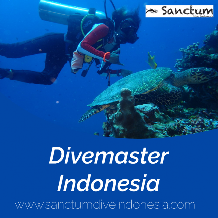 Image for Divemaster Indonesia with ID of: 4439080