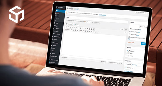 Image for Looking for Custom Web Development Agency? with ID of: 4453870