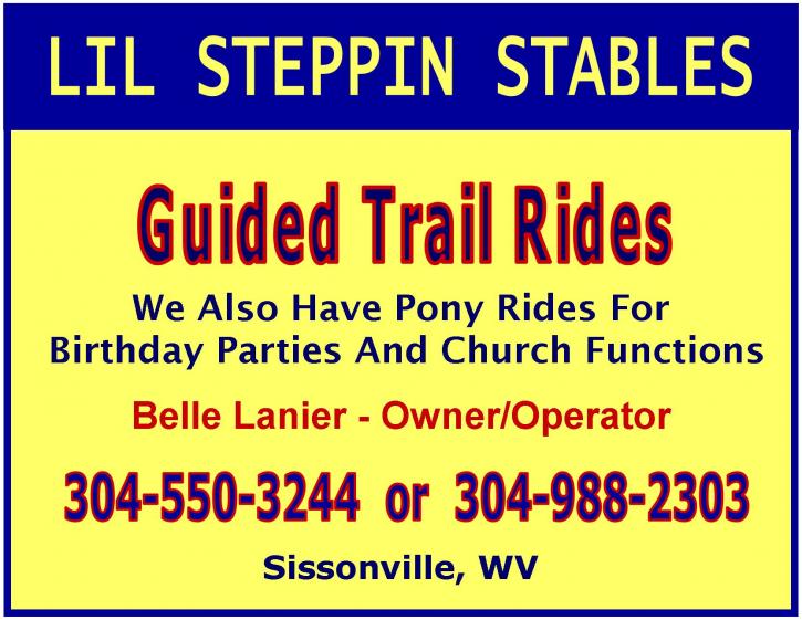 Image for Lil Steppin Stables with ID of: 445839