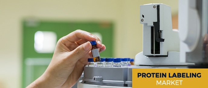Image for Protein Labeling Market Size Worth $2.60 Billion By 2024 with ID of: 4459365