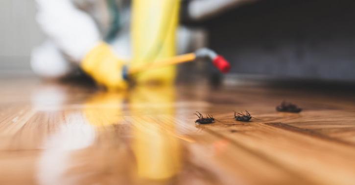 Image for Pest Control Services Burke VA with ID of: 4463930