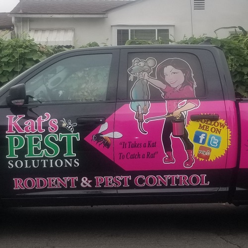 Image for Kat's Pest Solutions with ID of: 4468042