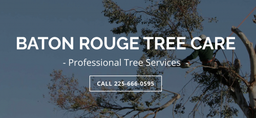 Image for Baton Rouge Tree Company with ID of: 4469262