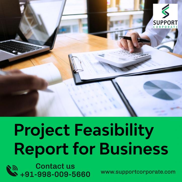 Image for Project Feasibility Report for Business with ID of: 4472283