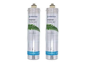 everpure water filter