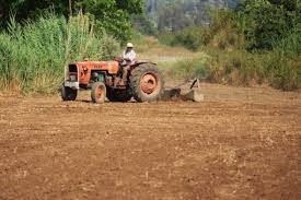 Image for Agricultural Implement Market 2020 : Competitive Dynamics And Global Outlook 2023 with ID of: 4478199