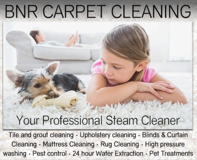 Image for BnR Carpet Cleaning with ID of: 4479075