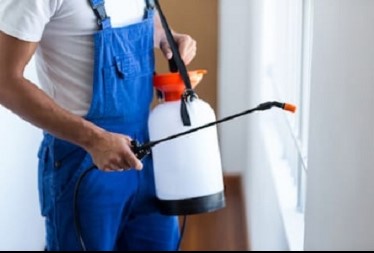 Image for Xtramile Carpet and Pest Management with ID of: 4479108