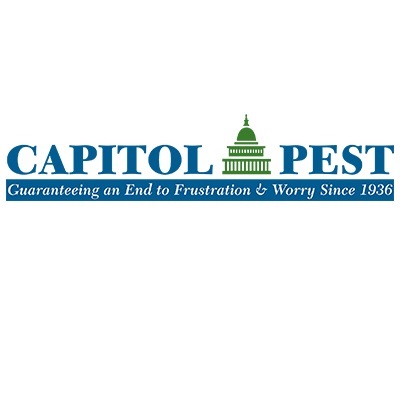 Image for Capitol Pest with ID of: 4486924