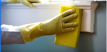 Image for Viky's Maid Services Ltd with ID of: 4489126