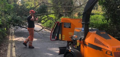 Image for Poplar Tree Solutions Ltd with ID of: 4489168