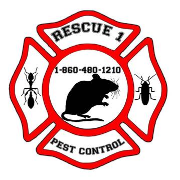 Image for Rescue 1 Pest & Termite Control with ID of: 4490834