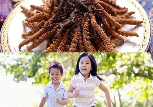 Image for Cách sử dụng Đông Trùng Hạ Thảo hiệu quả with ID of: 4494042