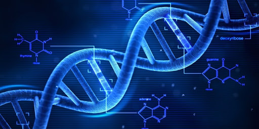 Image for genome sequencing cost with ID of: 4498263