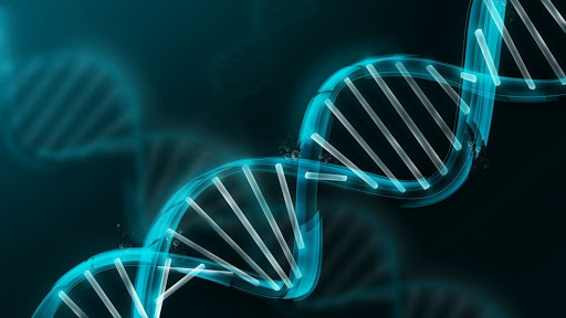 Image for shotgun sequencing with ID of: 4498283