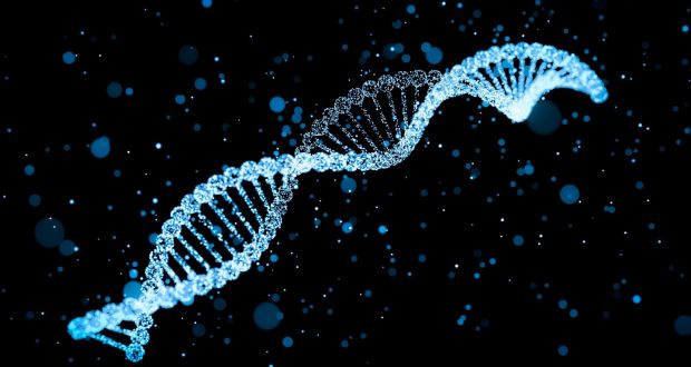 Image for what is chip seq analysis with ID of: 4498289