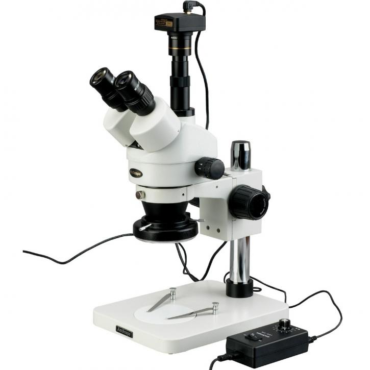 Image for Digital Optical Microscopes Market Status & Supply Demand | Industry Forecast Report To, 2025 with ID of: 4503671