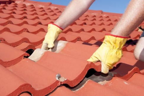 Image for Woodland Roofing with ID of: 4506058