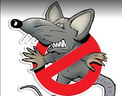 Image for Strike Force Pest Control with ID of: 4506469