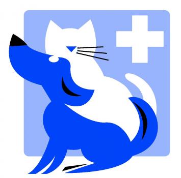 Image for Dundee Animal Hospital with ID of: 4508701