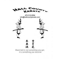 Image for Hall County Karate with ID of: 4509906