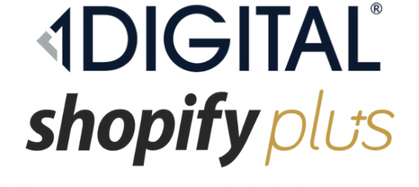 Image for The Value a Shopify + Partner Can Bring to Your Store with ID of: 4528654