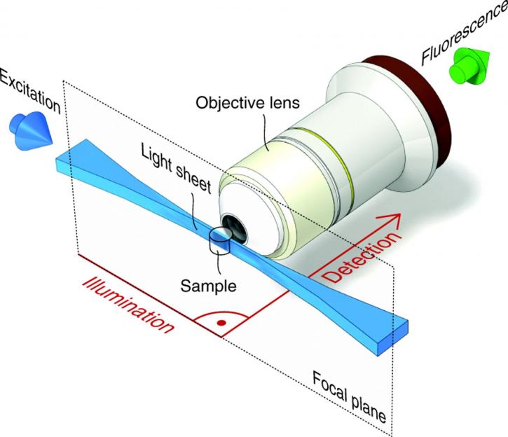 Image for Selective Plane Illumination Microscopy Market Status & Supply Demand | Industry Forecast Report To, 2025 with ID of: 4535685