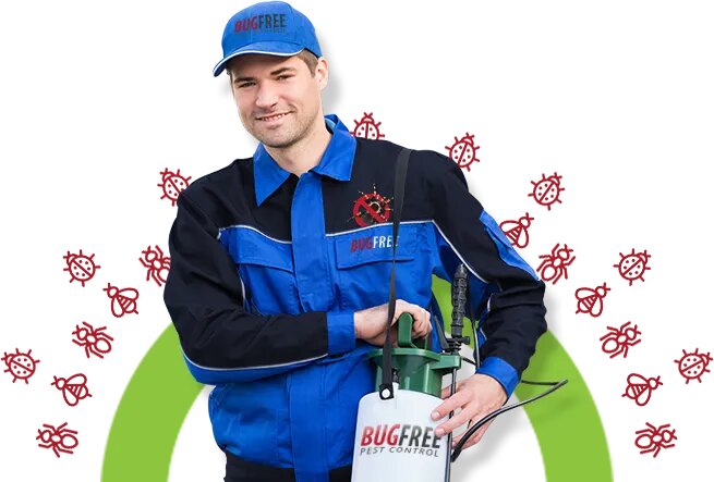 Image for Pros of professional pest control with ID of: 4536272
