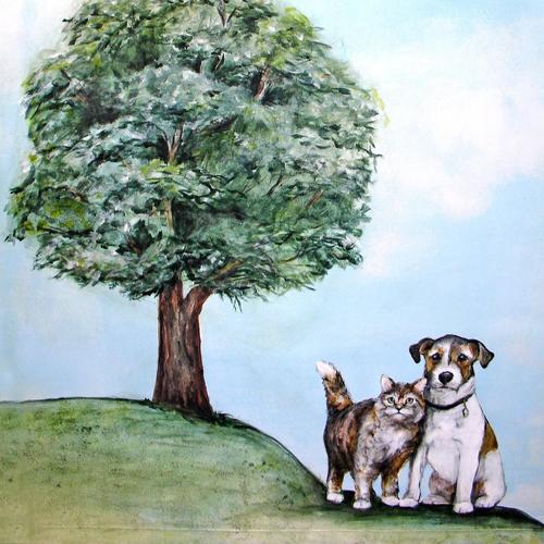 Image for Chaska Valley Veterinary Clinic with ID of: 4536610