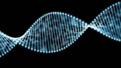 Image for Radical Interoperability Market Status & Supply Demand | Industry Forecast Report To, 2025 with ID of: 4538774