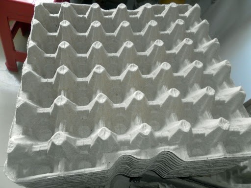 Image for Pulp Moulded Egg Trays Market Status & Supply Demand | Industry Forecast Report To, 2025 with ID of: 4540040
