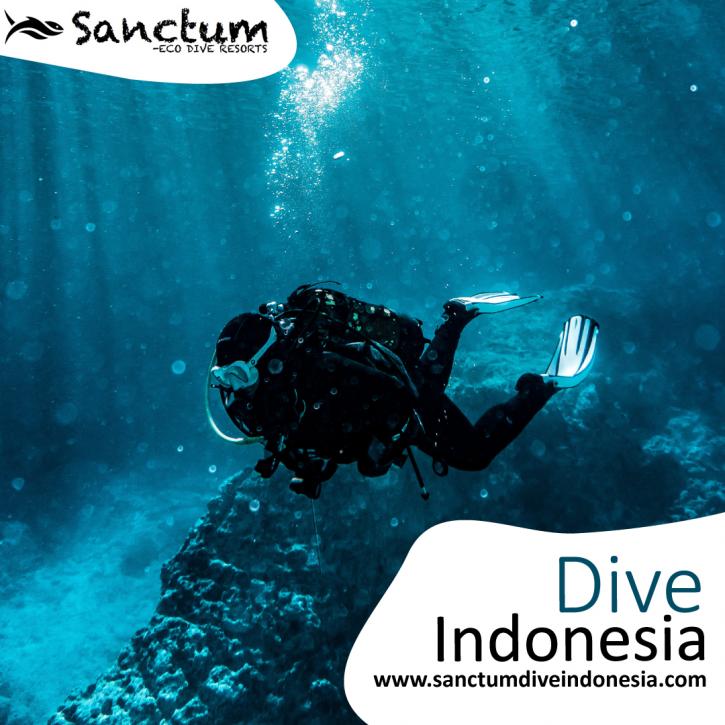 Image for Dive Indonesia with ID of: 4540701