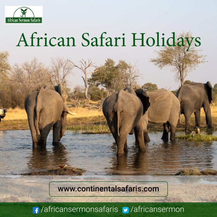Image for African Safari Holidays with ID of: 4540921