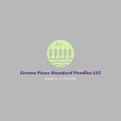 Image for Croton Pines Standard Poodles with ID of: 4549194