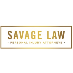 Image for SAVAGE LAW with ID of: 4550497