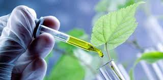 Image for Synthetic & Bio-Based Adipic Acid Market Status & Supply Demand | Industry Forecast Report To, 2025 with ID of: 4554878