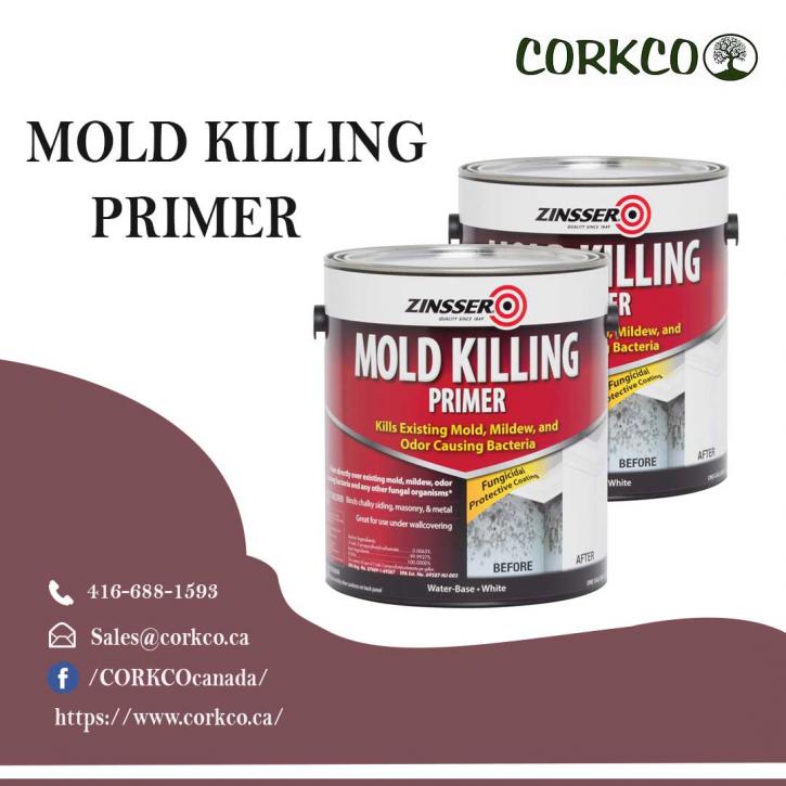 Image for Mold killing Primer with ID of: 4559063