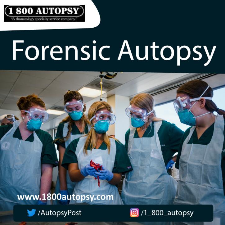 Image for Forensic Autopsy with ID of: 4561959