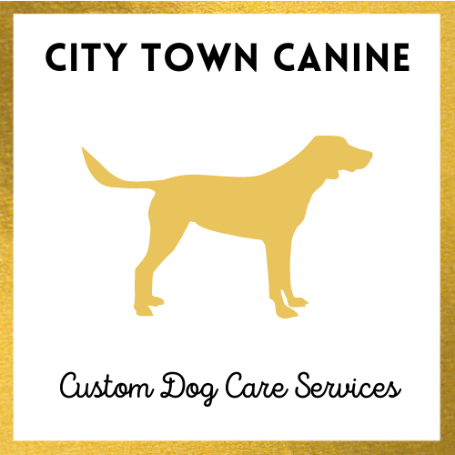 Image for City Town Canine with ID of: 4562691