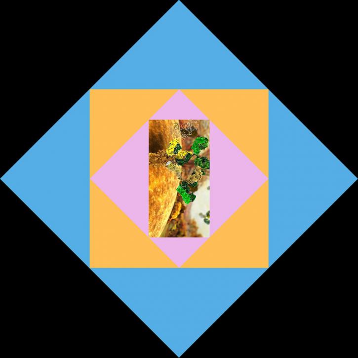Image for Non-Metal Catalysts with ID of: 4565809