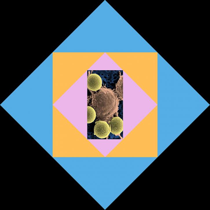 Image for Phosphorus Catalysts with ID of: 4565813