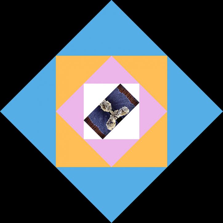 Image for Charge Transfer Complexes with ID of: 4565822