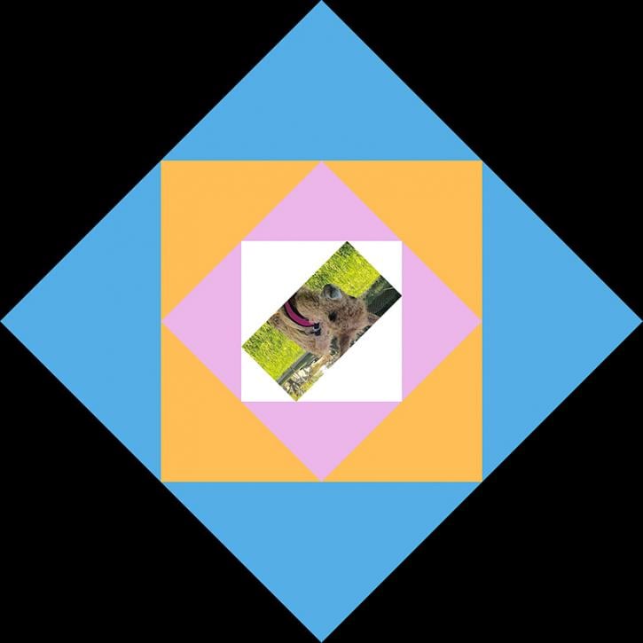 Image for Functional Materials with ID of: 4565824