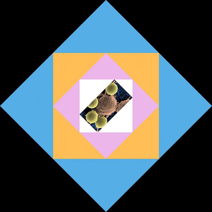 Image for Solid Oxide Fuel Cell Materials with ID of: 4565830