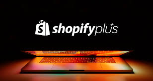 Image for What Services Does a Shopify Plus Partner Offer? with ID of: 4568884