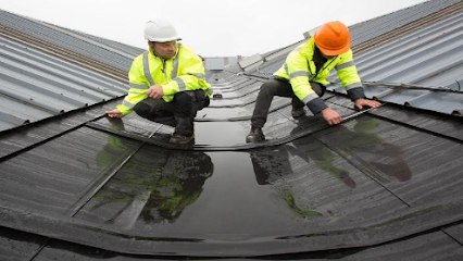 Image for Gutter and Roof with ID of: 4571858
