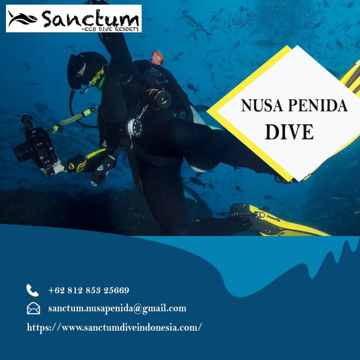 Image for Nusa Penida Dive with ID of: 4573543